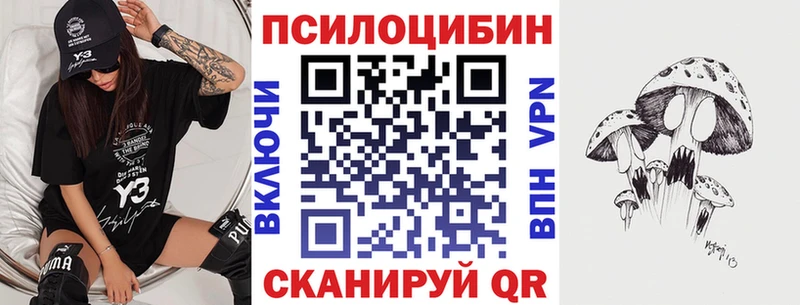 сколько стоит  Щигры  ОМГ ОМГ вход  Псилоцибиновые грибы ЛСД 